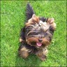 Timmy - 7 month