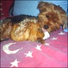 Babsi - 5 years