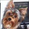 Terry - 10 month