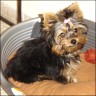 Jinger - 4 month