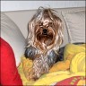 Buddy - 3 years