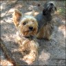 Armani - 2 years