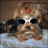 Athos - 2 1/2 years