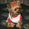 Daisy - 19 month