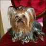 Jenny - 6 years