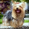 Gina - 4 years