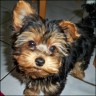 Jane - 4 month