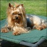  Nele - 4 years 