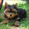Julia - 11 weeks