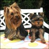Farina (2 years) & Julia (14 weeks)
