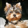 Sue-Mara - 4,5 month