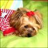 Daisy - 3 years