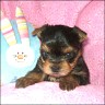 Cinderella - 5 weeks