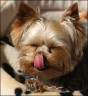 Mogly - 3 years