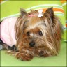 Daisy - 3 years