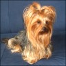Gina - 4 years
