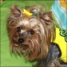 Daisy - 3 years