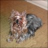 Chanel - 16 years