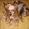 Mirelle - 16 years