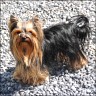 Tiffany - 2,5 years