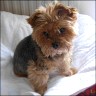 Lui - 14 years