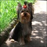 Mylo - 6 month