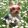 Bonnie - 3 years