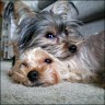 Maya (2 years) & TJ (1,5 years)