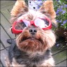 Olli - 7 years