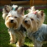 Casi & Lenny