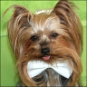 Daisy - 4 years