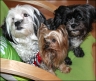 My 3 Love