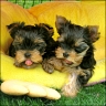 Bonny & Juliette