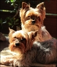 Angie (9) & Gina (11)