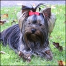 Elysha - 10 month