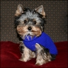 Tobi - 4 month