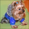 Daisy - 6 years