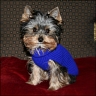Tobi - 4 month
