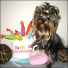 Emme - 1 year