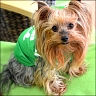 Daisy - 6 years