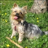 Bonnie - 6 years