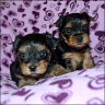 Indira & Isabella - 4 weeks