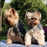 Farina, 6 years & Julie, 4 years