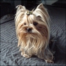 Kira-Blue - 4 years