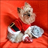 Percy - 9 years