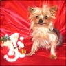 Bonnie - 6,5 years