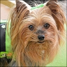 Daisy - 7 years