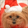 Daisy - 8 years