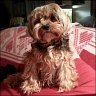 Urian - 11 years