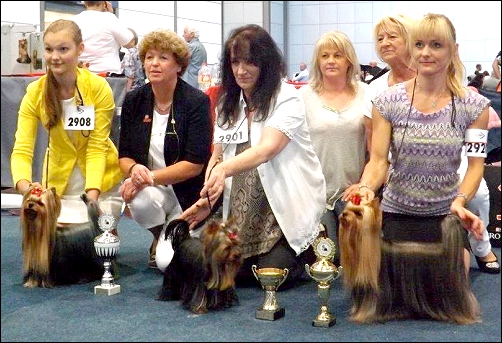 VDH German Winner Show - 23.08.2015